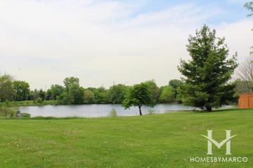 Turnstone Lake Park in Aurora, IL
