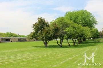 Washington Park in Aurora, IL