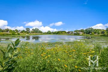 Waubonsie Lake Park in Aurora, IL