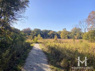 Oldfield Oaks Forest Preserve in Darien, IL