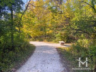 Oldfield Oaks Forest Preserve in Darien, IL