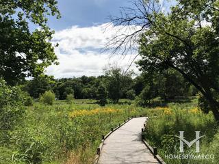 Lippold Park in Aurora, IL
