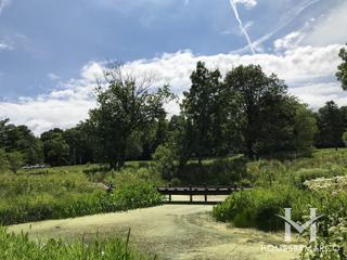 Lippold Park in Aurora, IL
