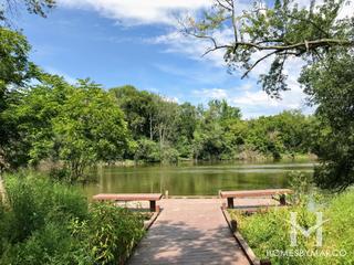 Lippold Park in Aurora, IL