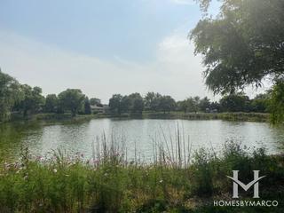 Birchwood Park in Darien, IL