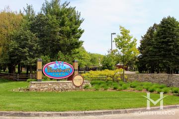 Photos of Blackberry Farm Park in Aurora, IL