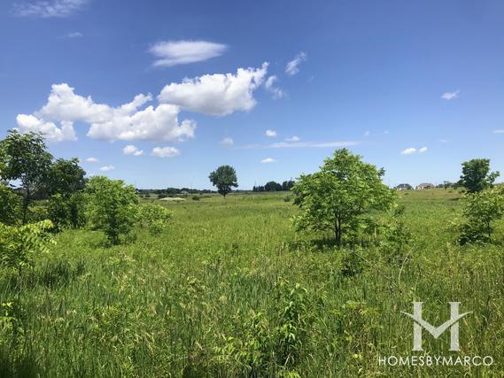 Hannaford Woods/Nickels Farm Forest Preserve in Sugar Grove, IL