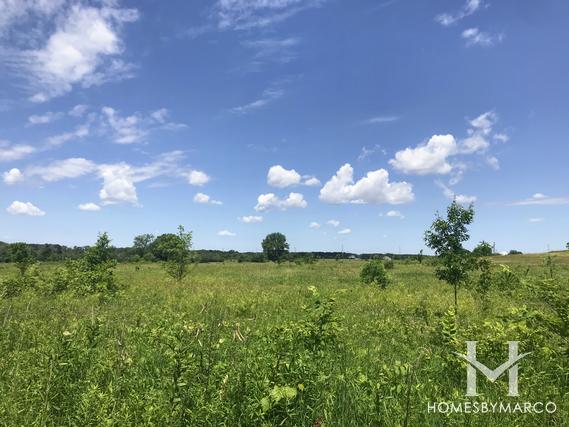 Hannaford Woods/Nickels Farm Forest Preserve in Sugar Grove, IL