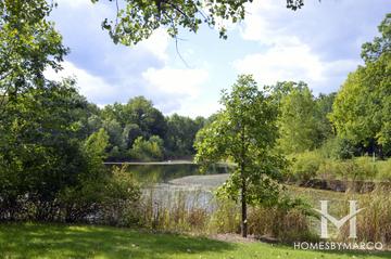 Captain Daniel Wright Woods Forest Preserve in Libertyville, IL