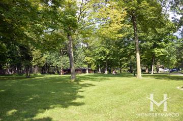 Captain Daniel Wright Woods Forest Preserve in Libertyville, IL