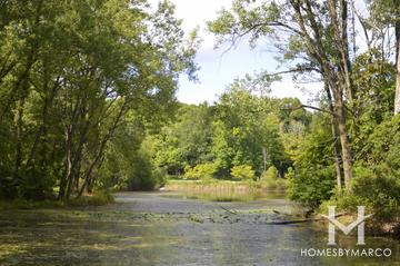 Captain Daniel Wright Woods Forest Preserve in Libertyville, IL