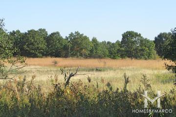 Cuba Marsh Forest Preserve in Lake Zurich, IL