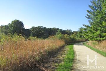 Cuba Marsh Forest Preserve in Lake Zurich, IL