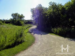 Grant Woods Forest Preserve in Lake Villa, IL