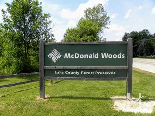 Photos of McDonald Woods Forest Preserve in Lake Villa, IL
