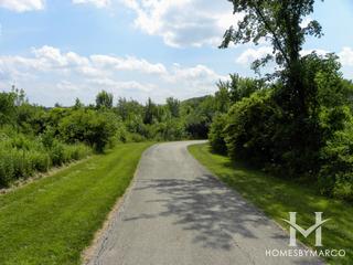 McDonald Woods Forest Preserve in Lake Villa, IL