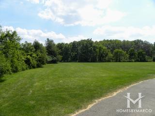 McDonald Woods Forest Preserve in Lake Villa, IL