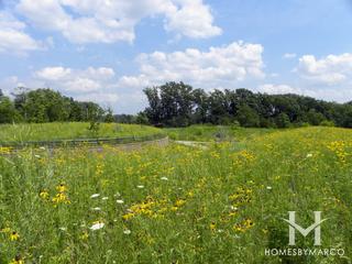 McDonald Woods Forest Preserve in Lake Villa, IL