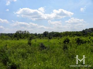 McDonald Woods Forest Preserve in Lake Villa, IL