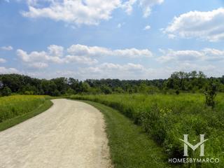 McDonald Woods Forest Preserve in Lake Villa, IL
