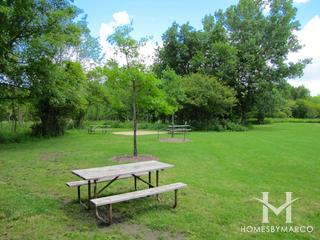 Old School Forest Preserve in Libertyville, IL