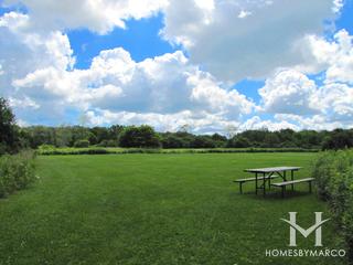 Old School Forest Preserve in Libertyville, IL