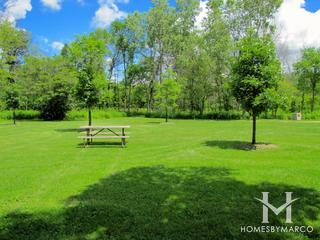Old School Forest Preserve in Libertyville, IL