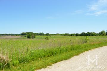 Ray Lake Forest Preserve in Mundelein, IL