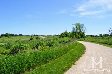 Ray Lake Forest Preserve in Mundelein, IL