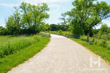 Ray Lake Forest Preserve in Mundelein, IL