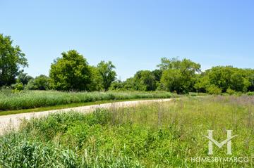 Ray Lake Forest Preserve in Mundelein, IL