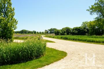 Ray Lake Forest Preserve in Mundelein, IL