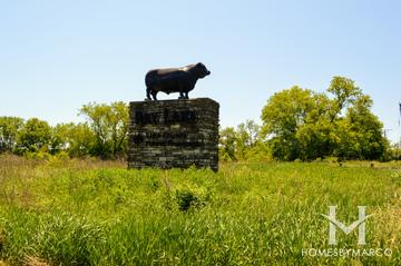 Photos of Ray Lake Forest Preserve in Mundelein, IL