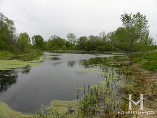 Fieldbrook Park in Wauconda, IL