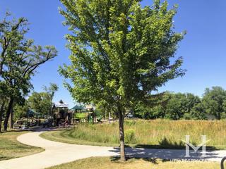 County Park in South Elgin, IL