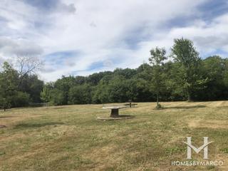 Pickerel Point Park in South Elgin, IL