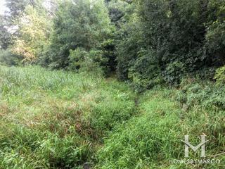 Kenyon Farm Forest Preserve in South Elgin, IL