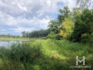 Kenyon Farm Forest Preserve in South Elgin, IL