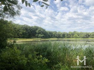 Photos of Kenyon Farm Forest Preserve in South Elgin, IL