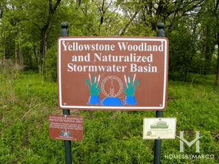 Yellowstone Park in Algonquin, IL