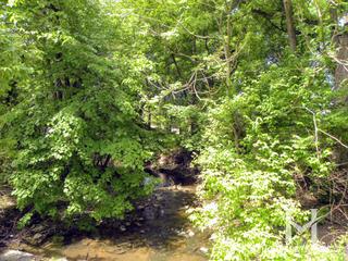 Shanahan Grove Park in Batavia, IL