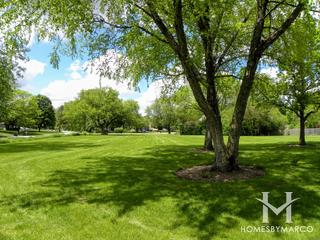 Woodland Hills Park in Batavia, IL