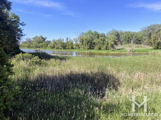 Photos of Wadsworth Prairie Nature Preserve in Wadsworth, IL