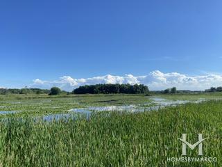 Wadsworth Prairie Nature Preserve in Wadsworth, IL
