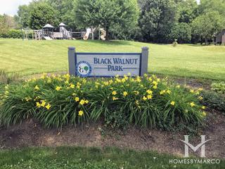 Photos of Black Walnut Park in Sugar Grove, IL