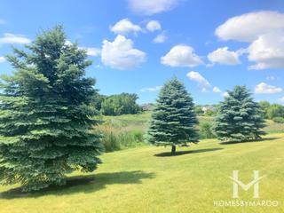 Mallard Park in Sugar Grove, IL