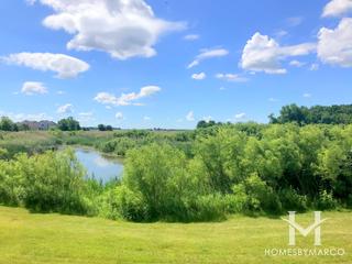 Mallard Park in Sugar Grove, IL