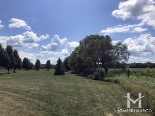 Sunflower Park in Yorkville, IL