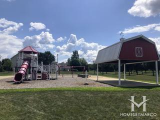 Sunflower Park in Yorkville, IL