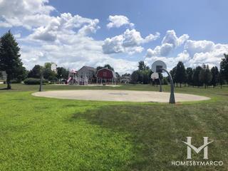 Sunflower Park in Yorkville, IL